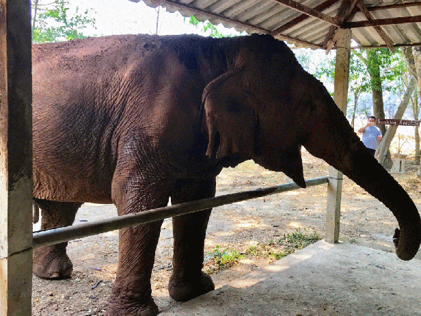 img_20190528_222148-animation