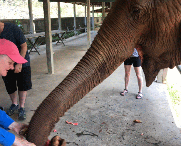 img_20190528_222747-animation