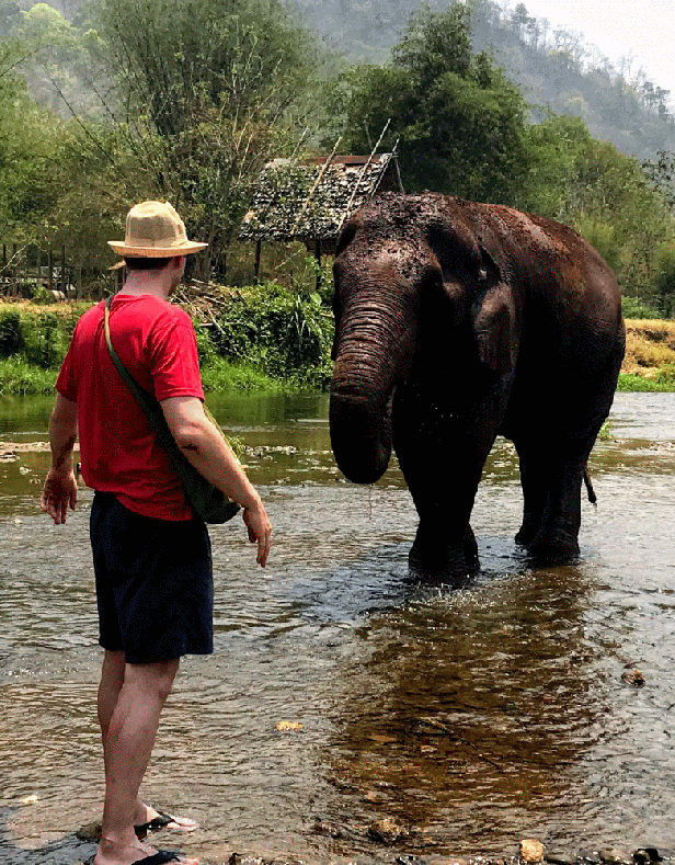 img_20190528_223249-animation